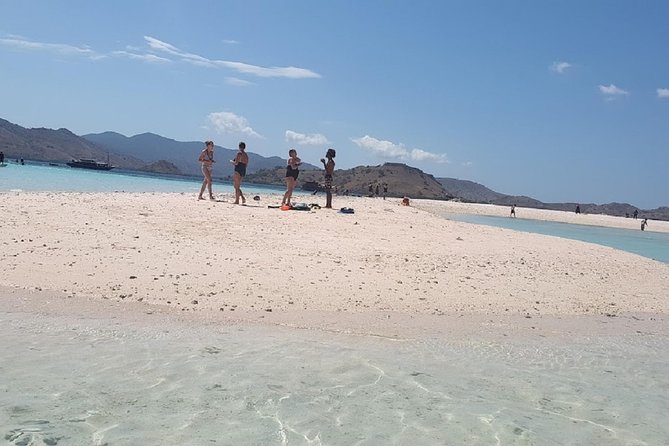 1- day Komodo island Tour hopping around by Speed Boat - Komodo Island and the ranger-led dragon walk