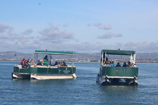 2 Stop | 2 Islands & Ria Formosa Natural Park - From Faro - Choosing the best time and preparing well