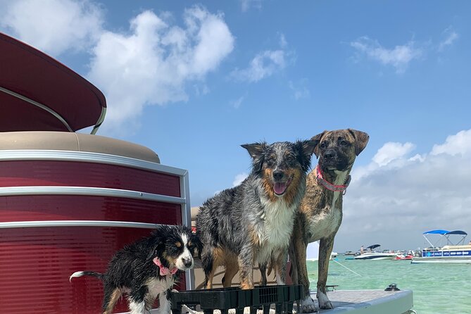 24ft (12 Passenger) Pontoon Boat Rental in Destin/Crab Island - Key things to know before you book