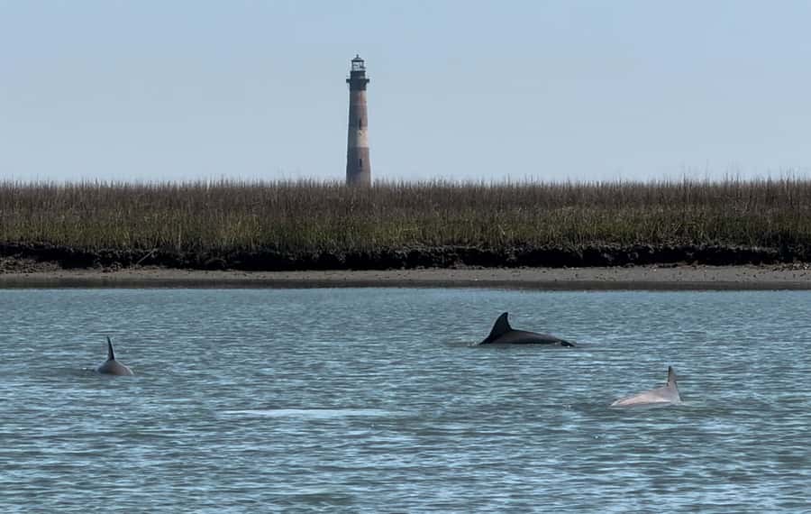 2hr Private River Cruise with stop at Morris Island - Cruising the tidal creeks behind Folly Beach