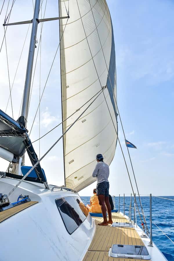 3-hour Catamaran Adventure on the waters of Sal Island - Wildlife sightings are a lucky extra