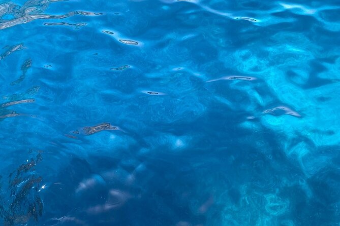 3-hour private boat tour of the island of Capri - Punta Carena Lighthouse and the western coast