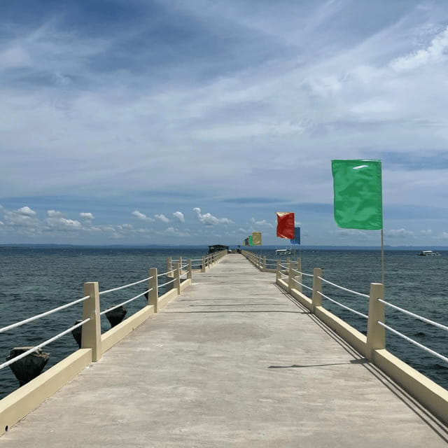 3 Islands Hopping at Gilutungan, Caohagan, Nalusuan + Lunch - Nalusuan: the final marine sanctuary
