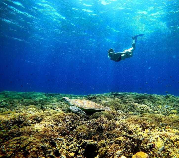 3 islands snorkeling & turtle sanctuary Gopro included - What the $16 price really covers