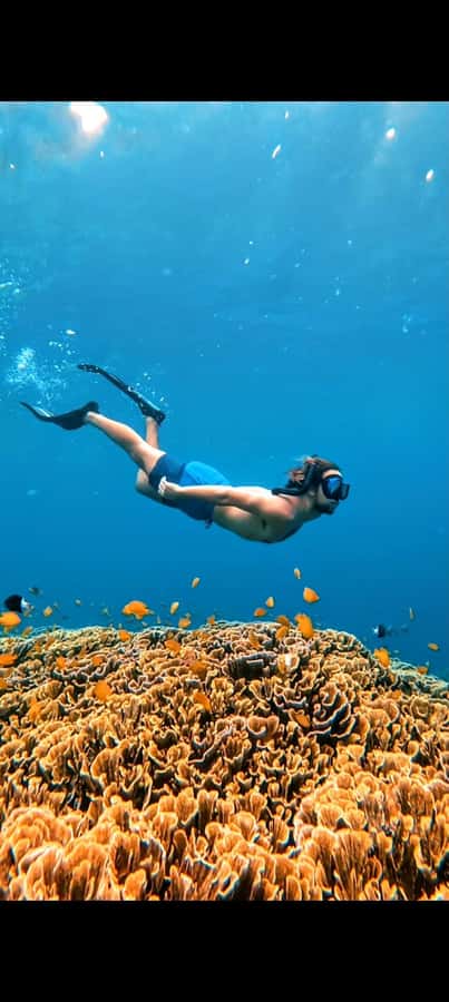 3 Islands Snorkeling with Glass Bottom Boat & GOPRO SHOOT - How much snorkeling time should you expect?