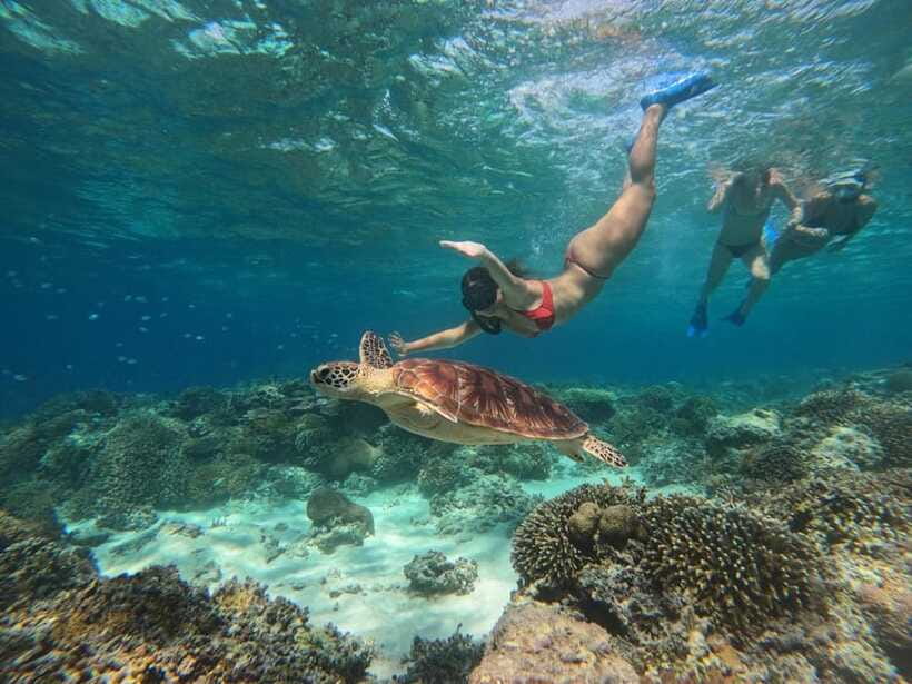 3 Islands Snorkeling with Glass Bottom Boat & GOPRO SHOOT - What is included, and what should you bring?