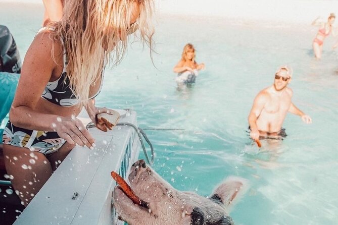 3 Islands Tour, Swim with Pigs, Turtles, Snorkelling & lunch - Captains who shape the day