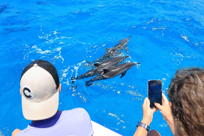 4 Hour Big Island Dolphin Watch Boat Tour, Snorkeling & BBQ Lunch - Is $150 a Fair Price?