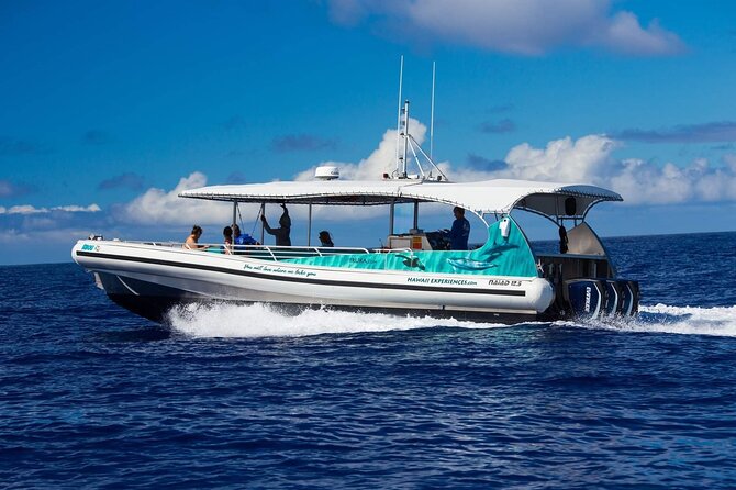 4 Hour Big Island Dolphin Watch Boat Tour, Snorkeling & BBQ Lunch - My Take: A Strong Choice for a Wildlife-Focused Morning