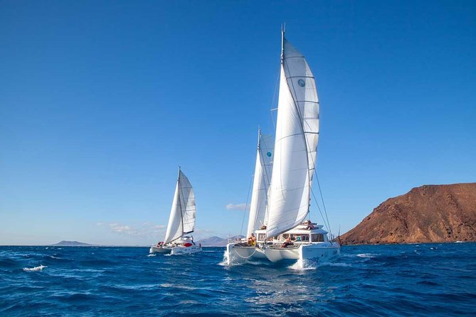 4-Hour Sailing Tour of Lobos Island from Fuerteventura - Paella, drinks, and the social side of the trip