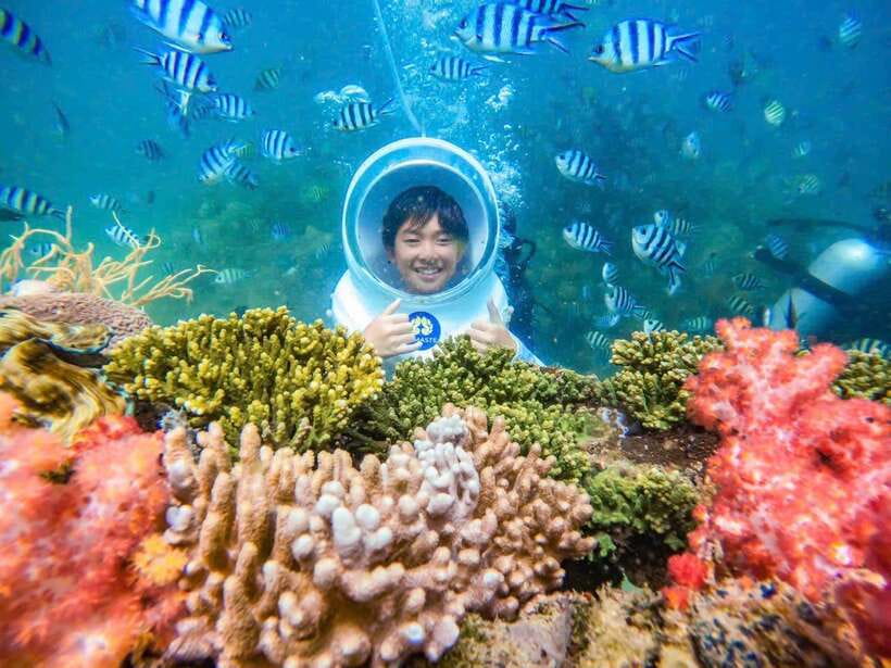 4 Islands Trip in The Southern Part of Phu Quoc - Coral Park and the optional underwater activities