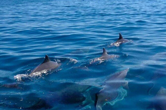 5 island tour all inclusive with Ile aux cerfs and snorkeling - Inside Lighthouse Island
