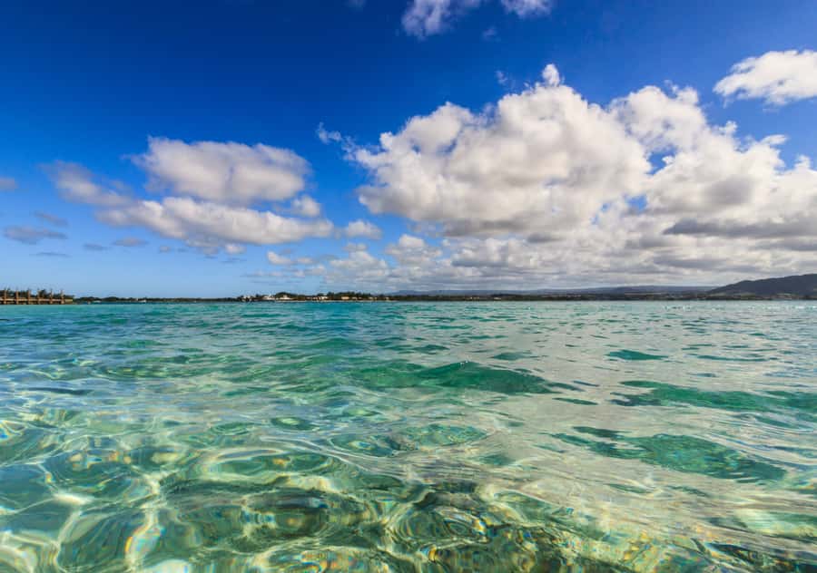 5 Islands Boat Trip, Snorkeling and Lunch on Ile aux Cerfs - Ile aux Phare and Ile de la Passe add the human story