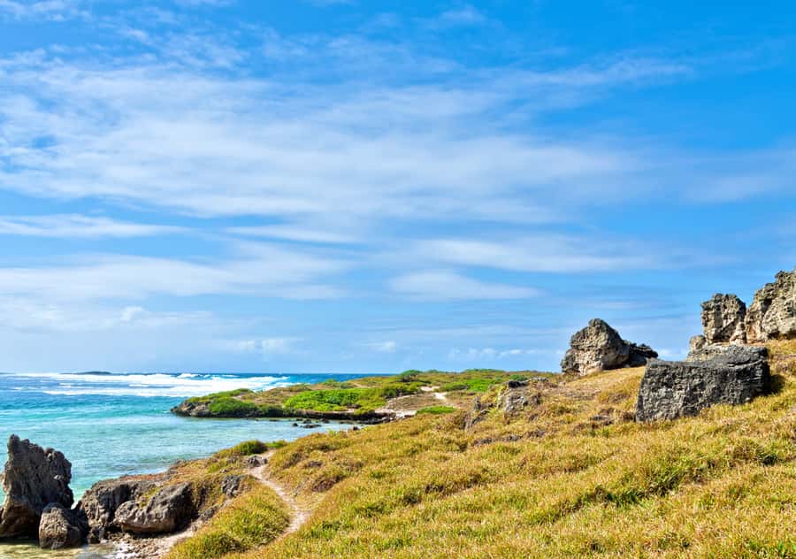 5 Islands Boat Trip, Snorkeling and Lunch on Ile aux Cerfs - Who will enjoy this Mauritius boat day