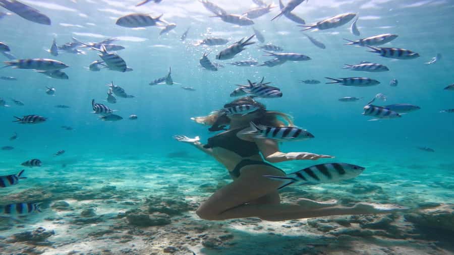 5 Islands Private Speedboat w/ Snorkeling + Lunch & Drinks - Two hours on Ile aux Cerfs