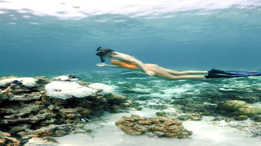 5 Islands Private Speedboat w/ Snorkeling + Lunch & Drinks - BBQ lunch, beach drinks, and the all-inclusive question