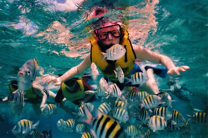 5 Islands Speedboat Cruise incl. Snorkeling in Blue Bay + Lunch at Ile aux Cerfs - Ile aux Aigrettes and the open bar