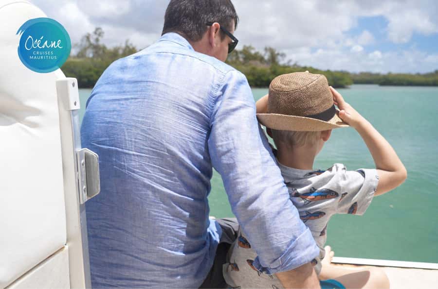5 Islands Tour: New OCÉANE Private Pontoon Boat cruise - The Grand River South East Waterfall first