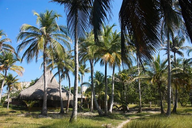 5 islands tour to rosario Islands with snorkeling activity! - Key points to know before booking