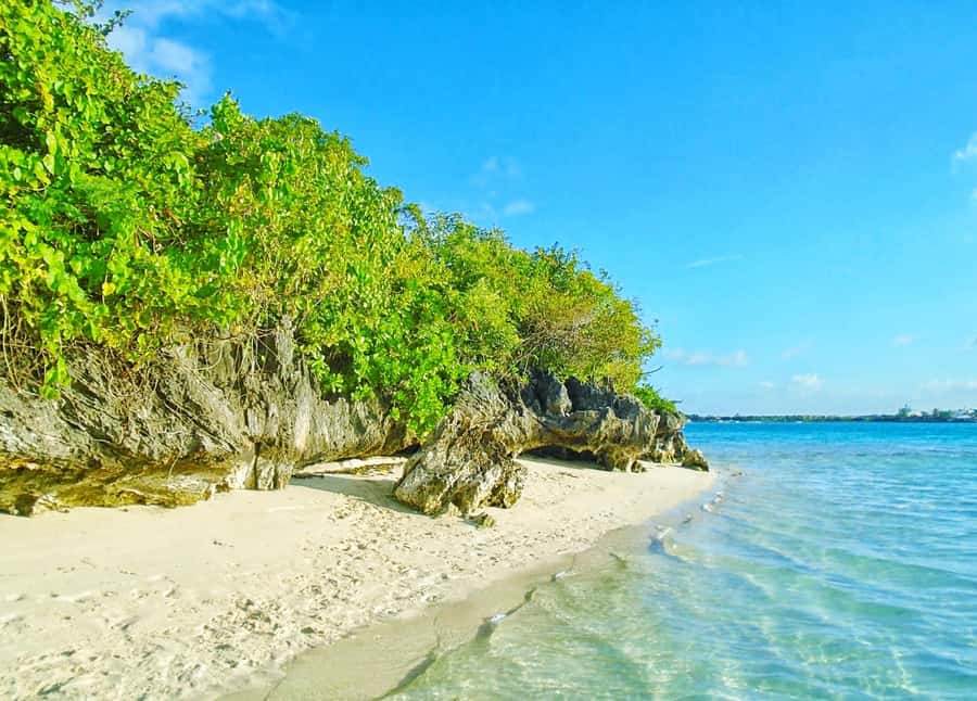 5 Islands Trip & Ile aux Cerfs inc Lunch, Drinks & Transport - An early start for a full southeast circuit