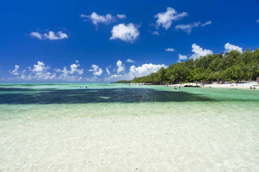 5 Islands Trip & Ile aux Cerfs inc Lunch, Drinks & Transport - Ile aux Cerfs gives you the postcard hour