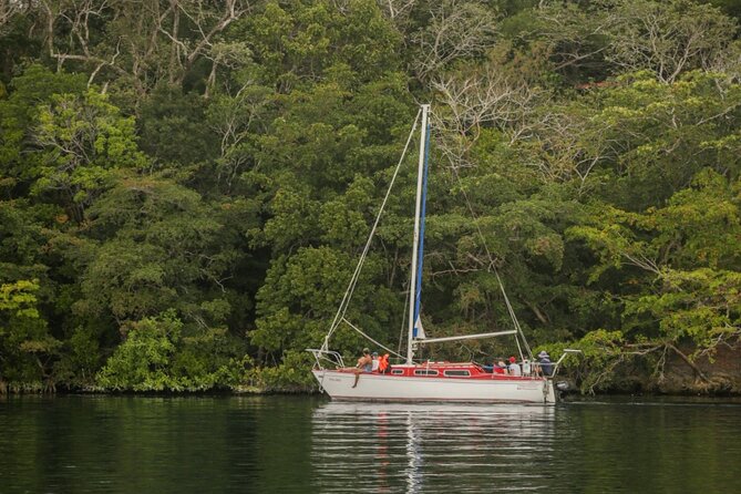 6hrs of Sailing in Bacalar Lagoon: discover Cenotes, Islands and Stromatolites. - A relaxed mood, with music and attentive service