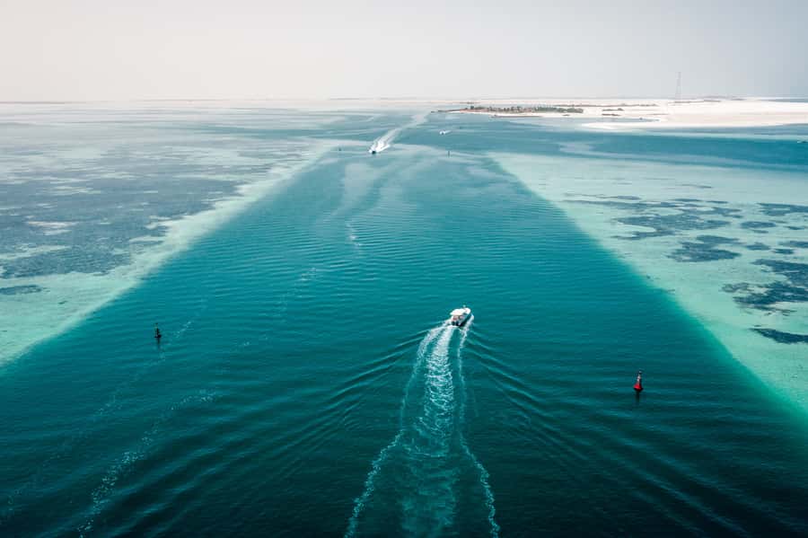 Abu Dhabi: 4-Hour Guided Cruise & Island Hopping - Abu Dhabi’s skyline, seen from the sea