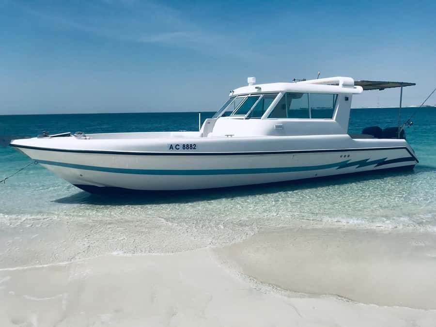 Abu Dhabi: 4-Hour Guided Cruise & Island Hopping - The crew shapes the whole outing