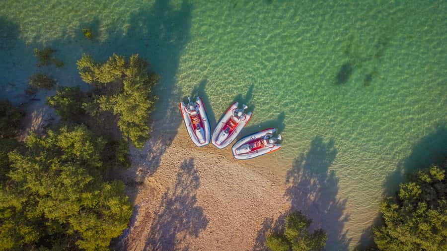 Abu Dhabi: Yas Island Self-Driving Guided Speedboat Tour - Starting at Al Bandar Marina