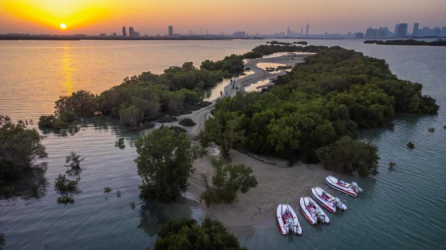 Abu Dhabi: Yas Island Self-Driving Guided Speedboat Tour - Flamingos, golf, and Ferrari World
