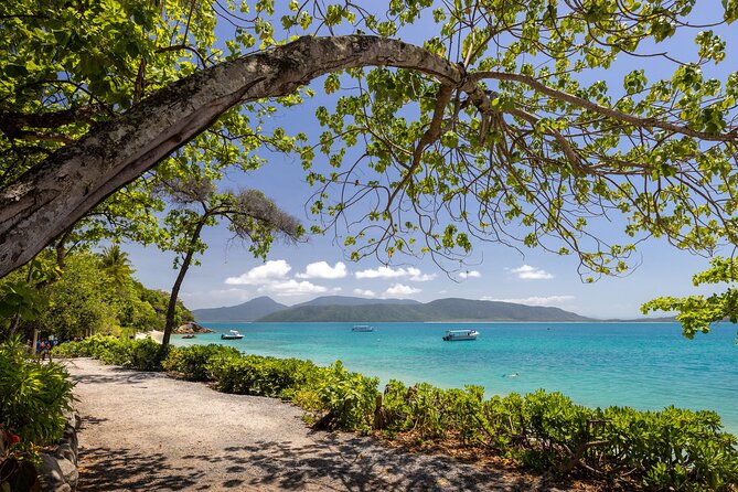 Afternoon Fitzroy Island Escape – Return Ferry Included - Nudey Beach and its coral shore