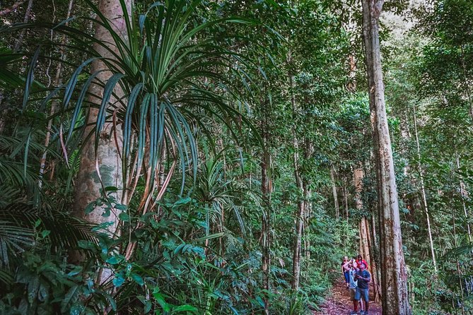 Afternoon Fitzroy Island Escape – Return Ferry Included - Snorkeling, trails, and choosing one priority