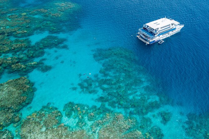 Afternoon Fitzroy Island Escape – Return Ferry Included - Who should choose this half-day trip?