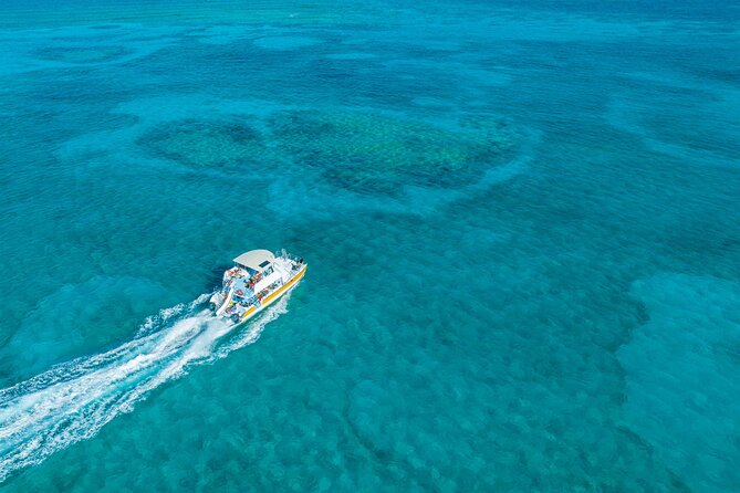 Afternoon Half Day Cruise from Providenciales with Snorkeling and Iguana Island - Key points to know before you book