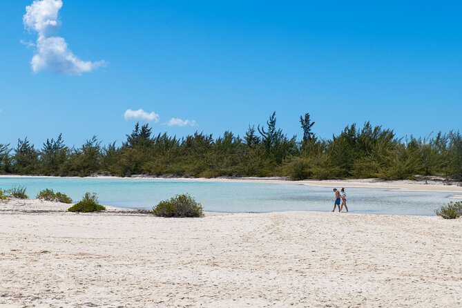 Afternoon Half Day Cruise from Providenciales with Snorkeling and Iguana Island - The crew and the feel onboard