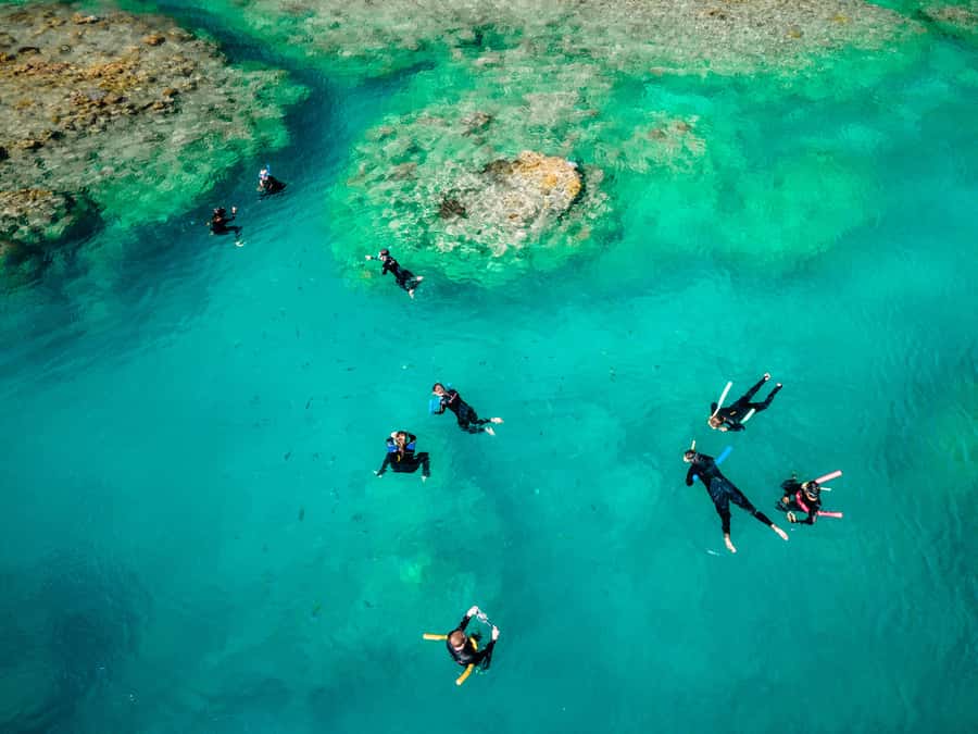 Airlie Beach: Whitsunday Islands 2-Day Sailing Tour - Key points to know before booking