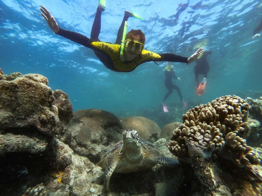 Airlie Beach: Whitsunday Islands Sailing, SUP & Snorkel Tour - Who should book this Whitsunday tour?