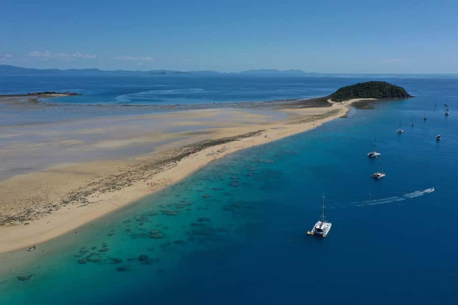 Airlie Beach: Whitsunday Islands Sailing, SUP & Snorkel Tour - Morning tea, lunch, and the BYO detail