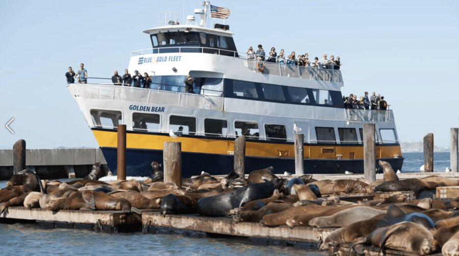 Alcatraz Island Prison Tour & Bay Cruise Combined Package - Who will enjoy this package most