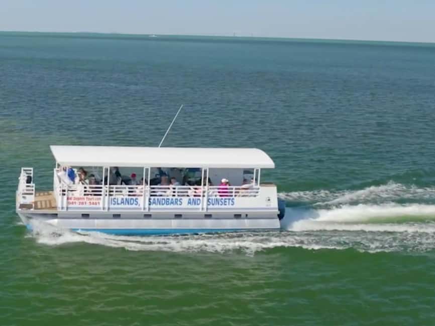 Anna Maria Island: Dolphin Cruise - Looking for Manatees, Turtles, and Stingrays