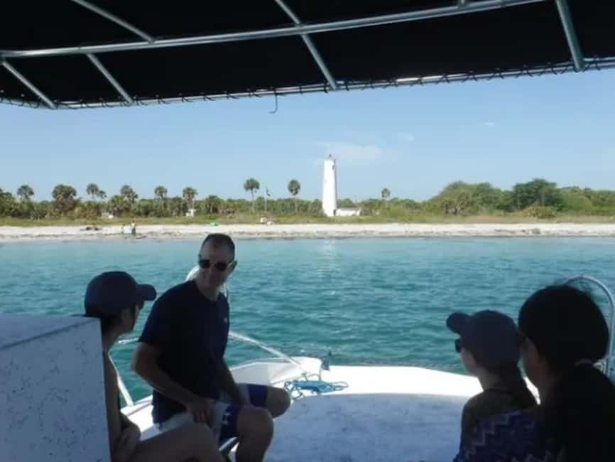 Anna Maria Island: Dolphin Cruise - Birds Along the Island’s Shore