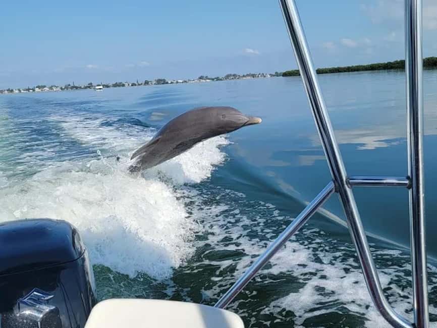 Anna Maria Island: Dolphin Cruise - Leaving Holmes Beach for Open Water