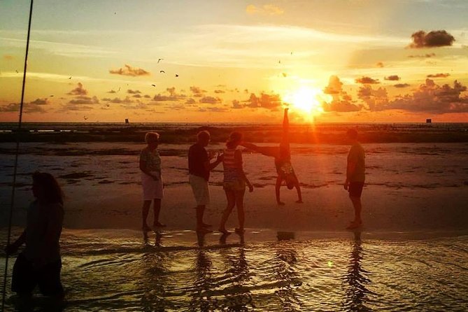 Anna Maria Island Dolphin Sunset Boat Tour - What dolphin watching is really like here