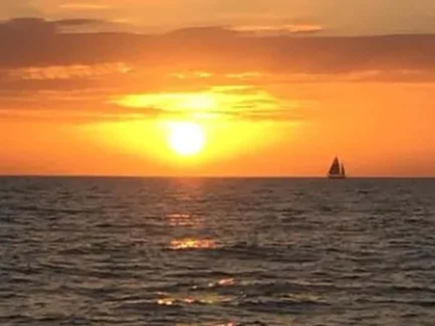 Anna Maria Island: Sunset Dolphin Cruise - Key points at a glance