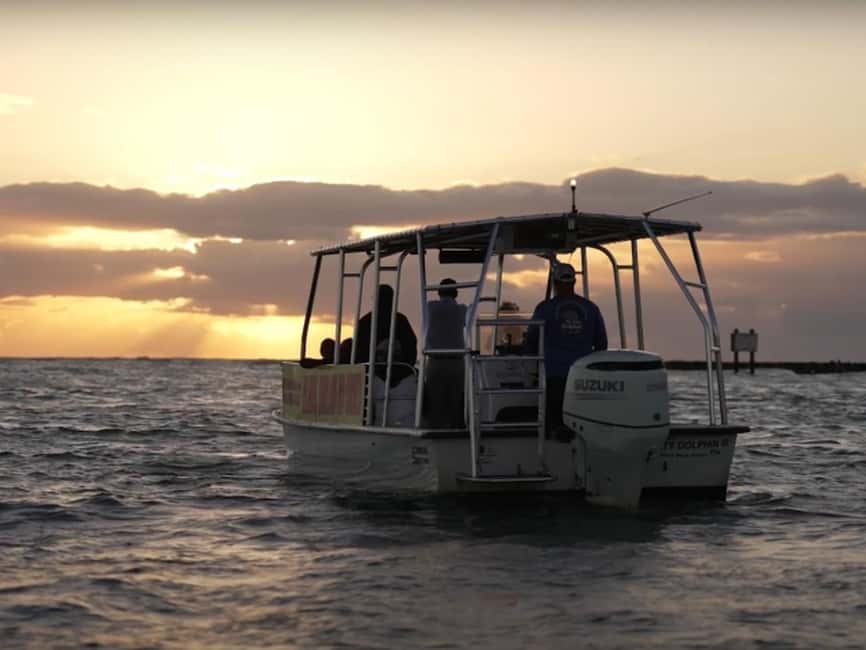 Anna Maria Island: Sunset Dolphin Cruise - The crew and the feel on board