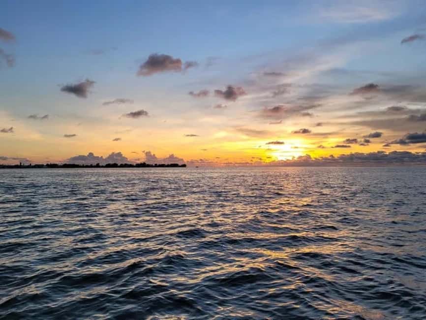 Anna Maria Island: Sunset Dolphin Cruise - Who will enjoy this cruise most