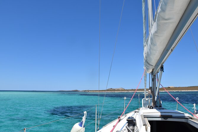 Asinara: sailing experience among the coves of the island - Key points to know before booking