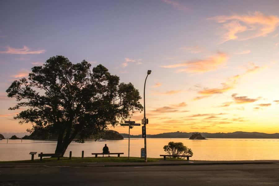 Auckland: 2-Day Bay of Islands Small Group Tour with Cruise - Why this short Northland trip works