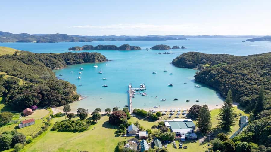 Auckland: 2-Day Bay of Islands Small Group Tour with Cruise - Waitangi Treaty Grounds and the story of modern New Zealand