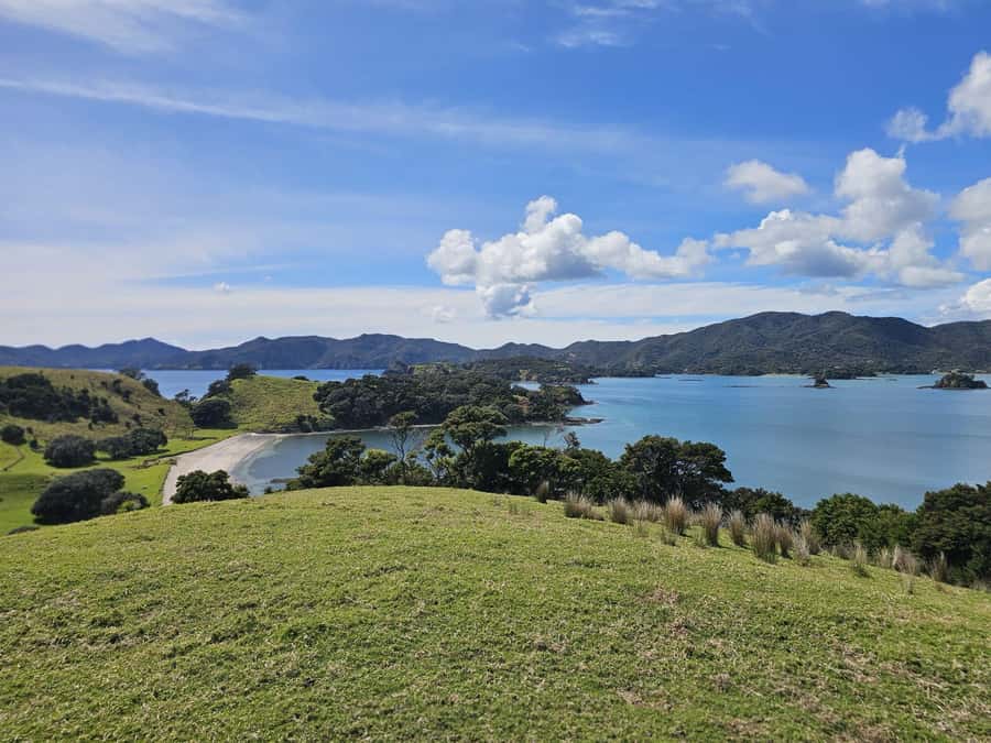 Auckland: 2-Day Bay of Islands Small Group Tour with Cruise - What the small group changes
